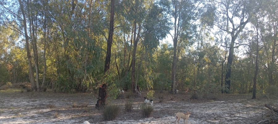 10 Bedroom Property for Sale in Philadelphia Western Cape